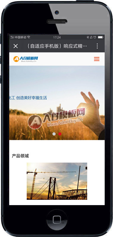 ������Ӧ�ֻ��棩��Ӧʽ��ϸ������ѧ��֯��ģ��Դ��