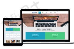 html5��Ӧʽ�߶���ҵdisuzģ��