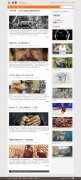 wordpress����վ������truepixel����