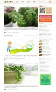 wordpress��������:��԰ʱ���ͼ������