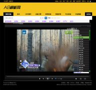��ֵ99Ԫ---������� V9.5(��ҵ��ǿ��)